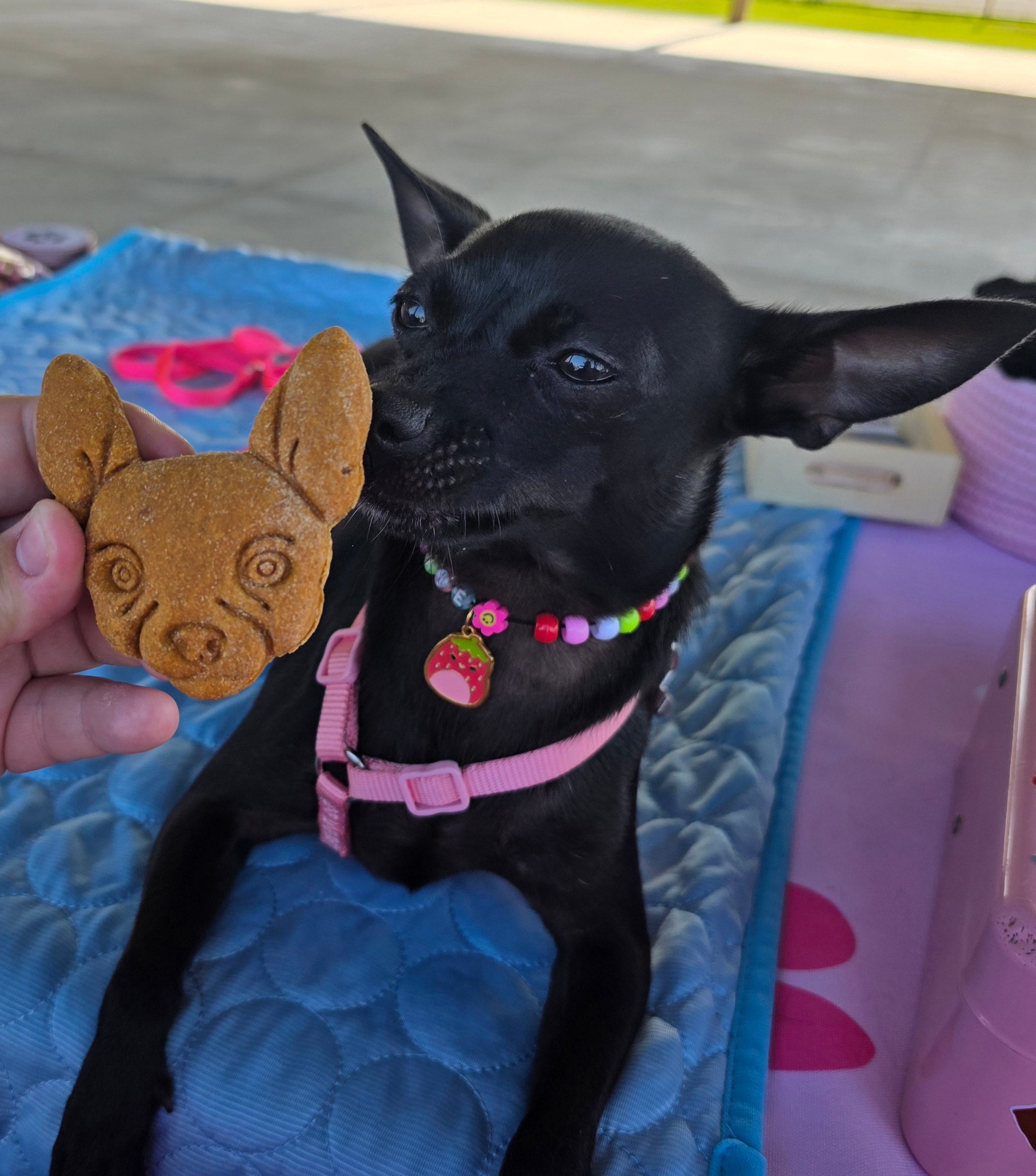 Dixie/Seasonal Cookies