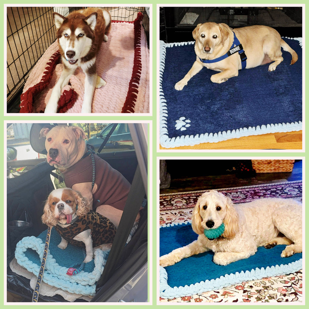 Doggy Blankets